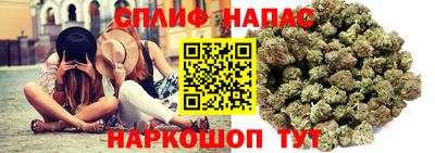 крисы Рузаевка