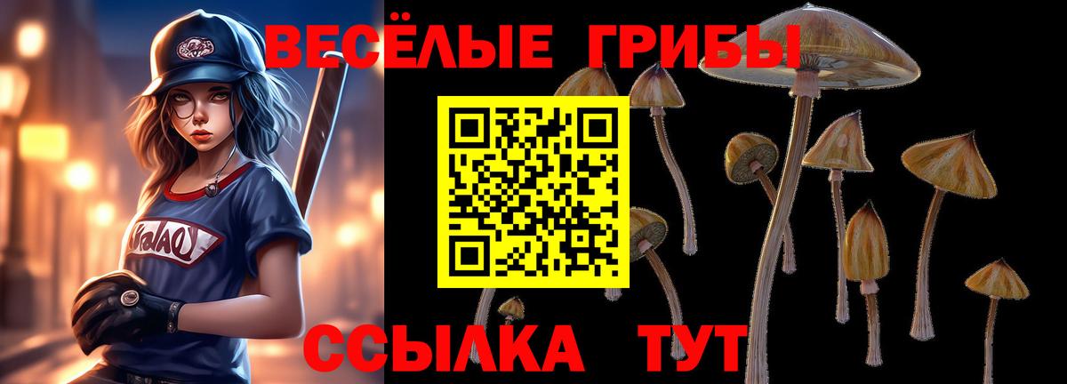 Псилоцибиновые грибы Magic Shrooms Чайковский