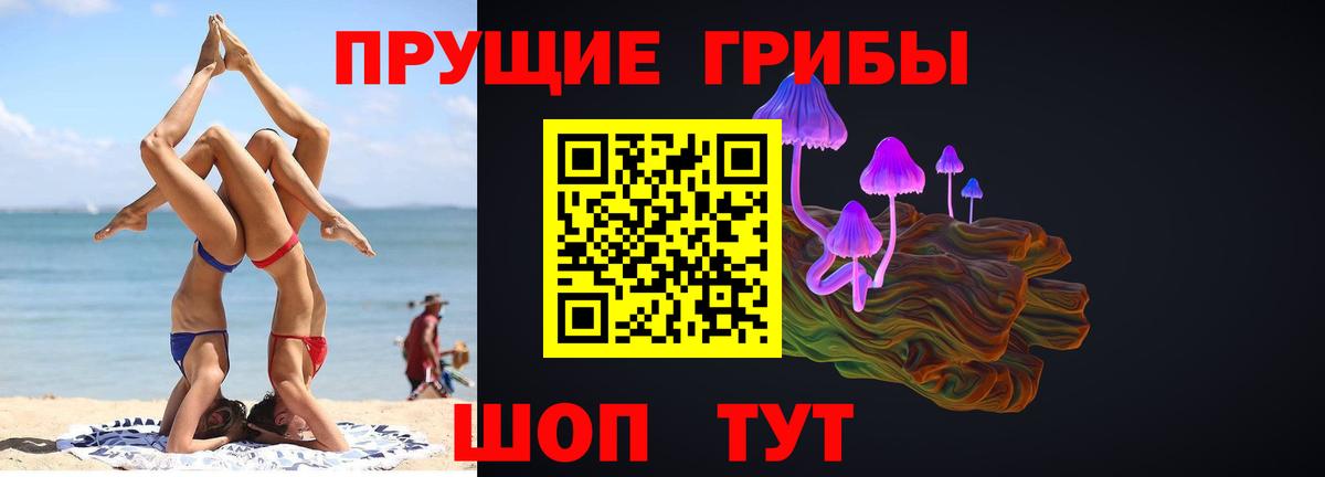 Галлюциногенные грибы прущие грибы  Чайковский  где продают   Псилоцибиновые грибы Psilocybe 